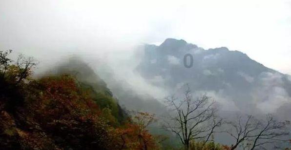 逃离潮湿的房屋