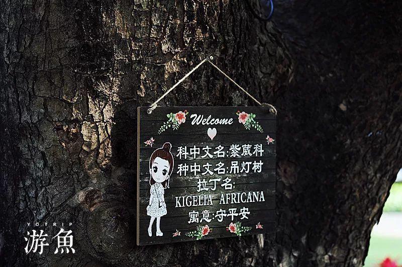 天国拯救