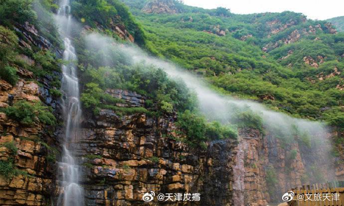 逗小猴开心系列178